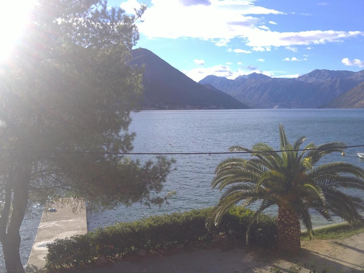 Waterfront Apartment Petrovina Kotor Luaran gambar